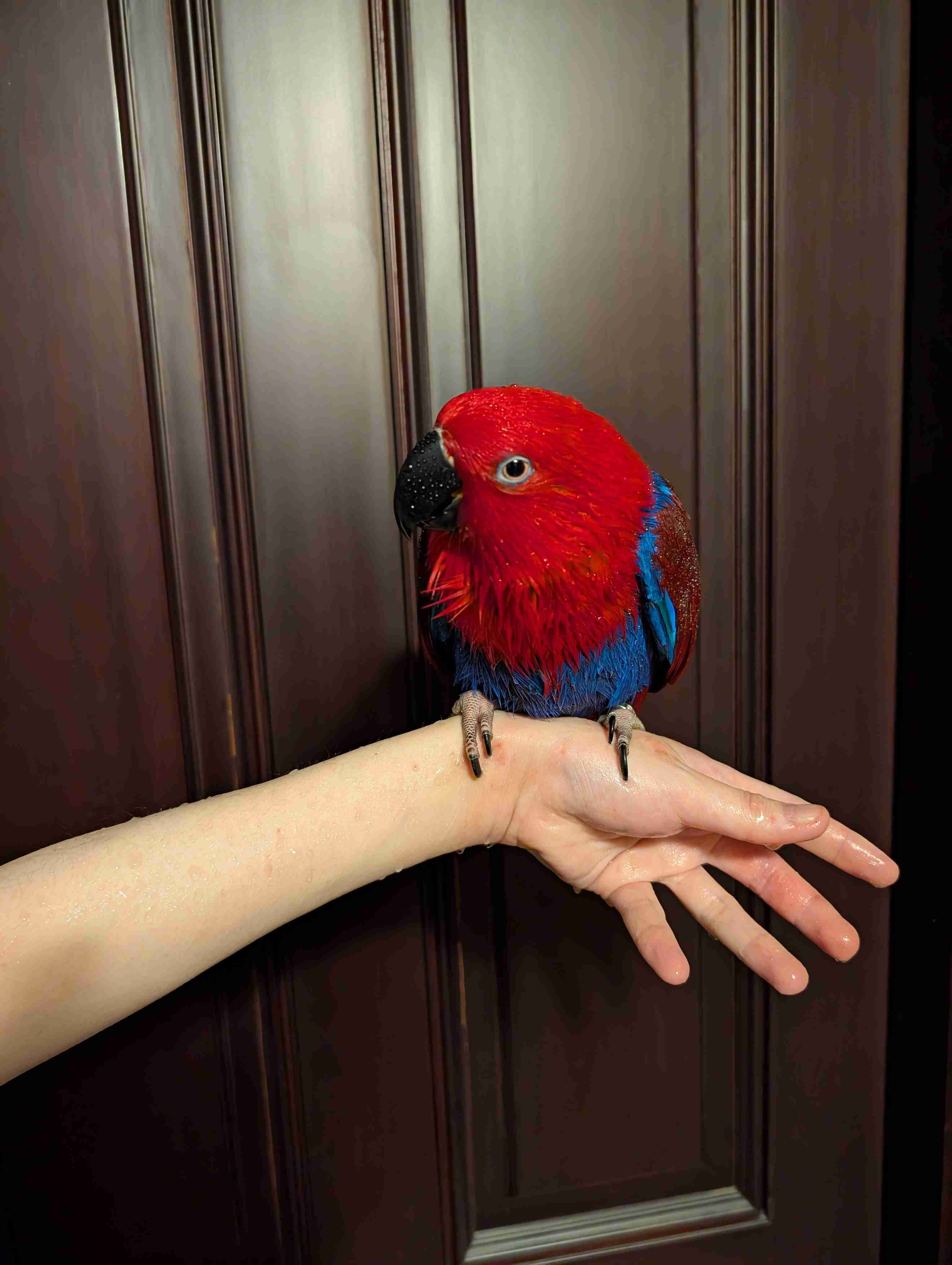 可愛い写真撮ったよ～