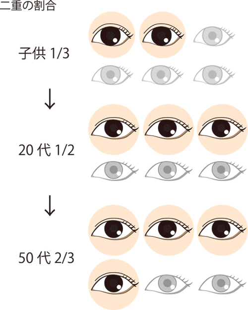 後天的に二重になった人