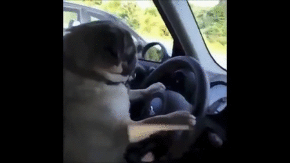 【車通勤の人】いつ運動してますか？