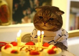 誕生日、何食べる？