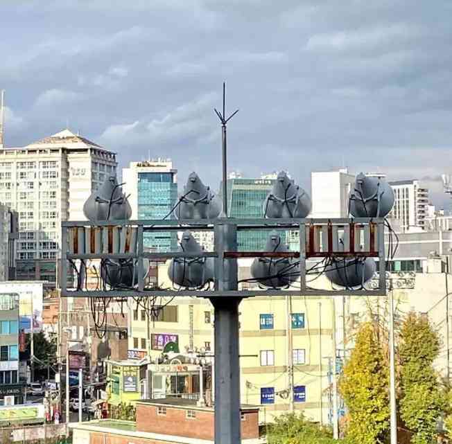 ちょっと勘違いしちゃった画像を貼るトピ