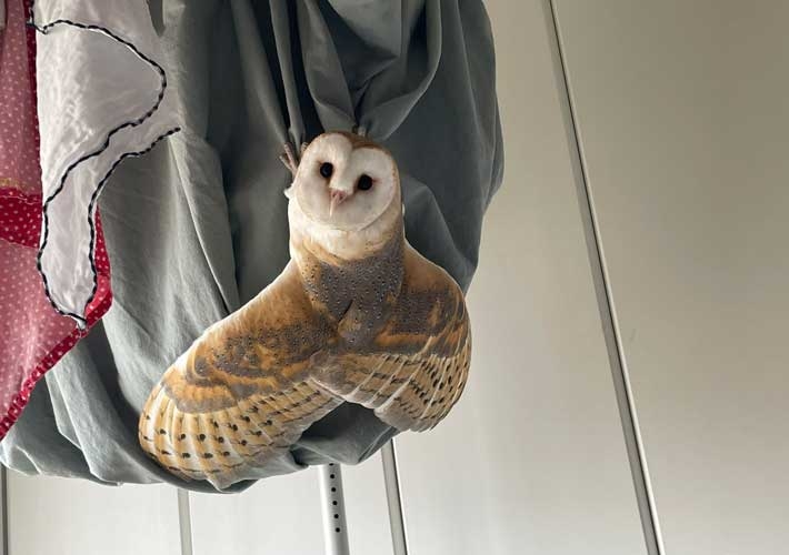 ちょっと勘違いしちゃった画像を貼るトピ