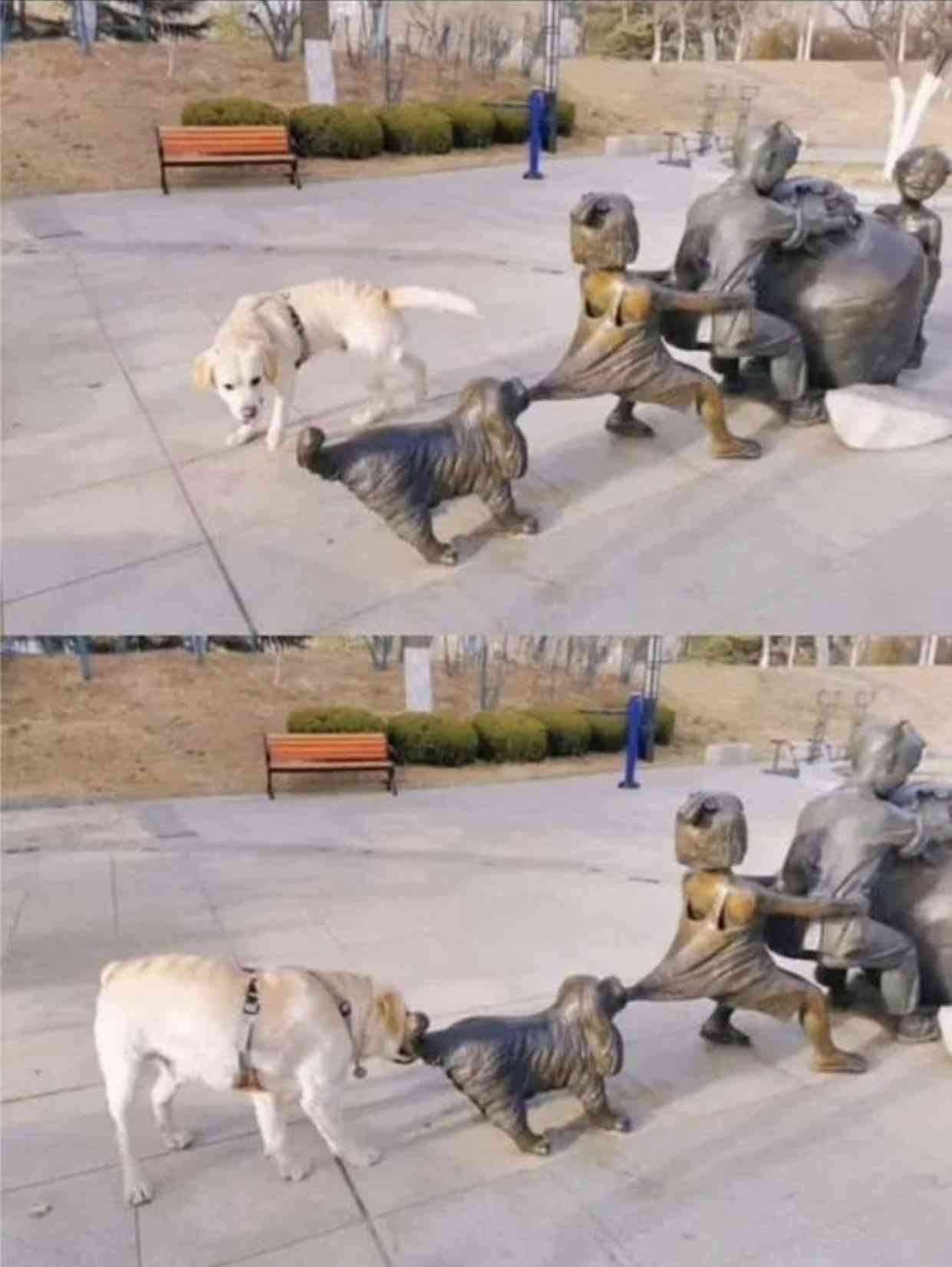 ちょっと勘違いしちゃった画像を貼るトピ