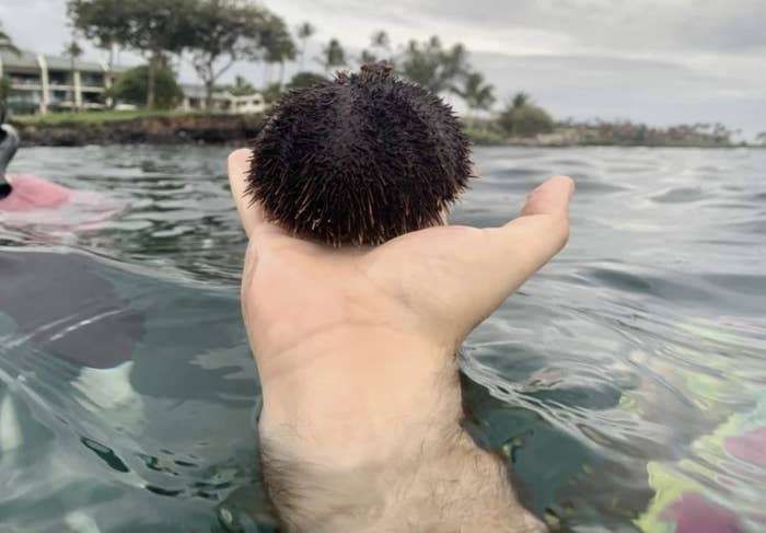 ちょっと勘違いしちゃった画像を貼るトピ