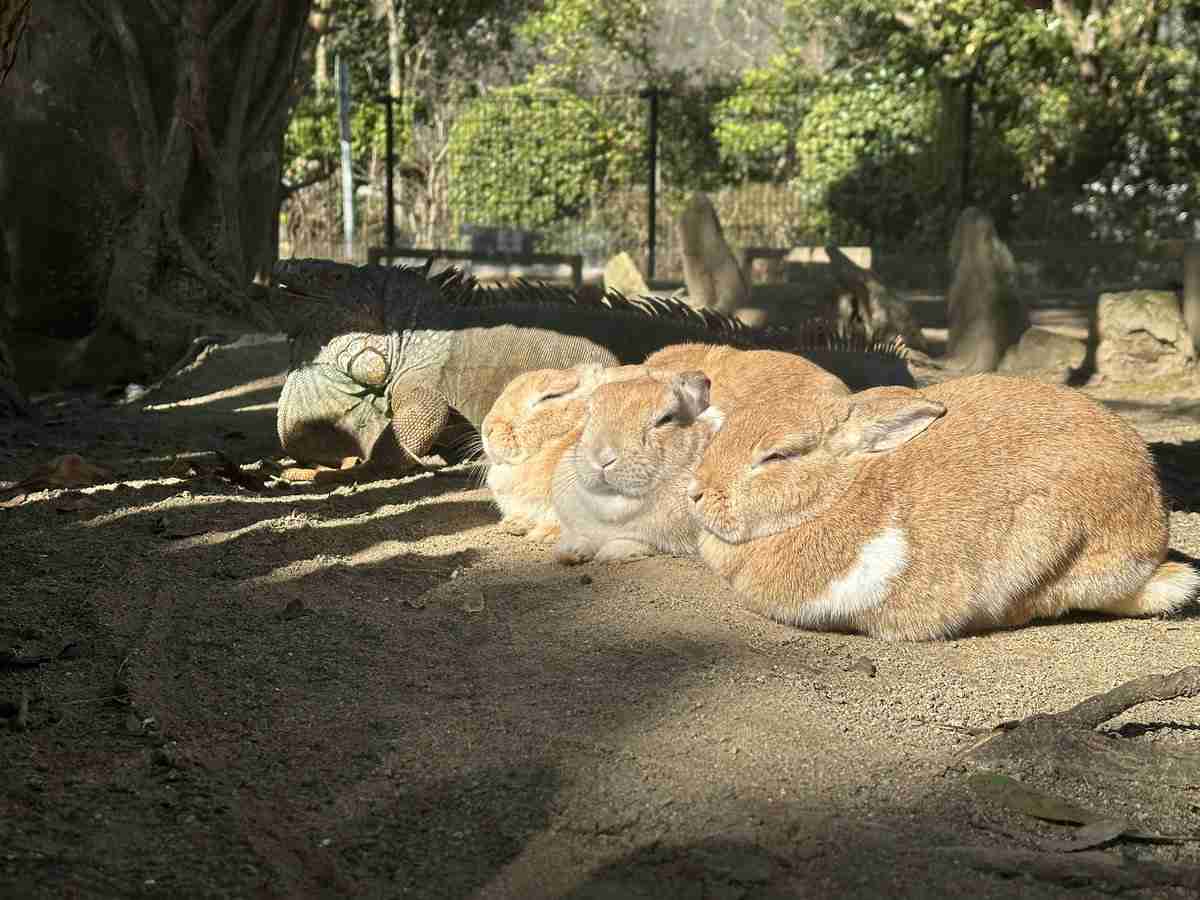 ちょっと勘違いしちゃった画像を貼るトピ