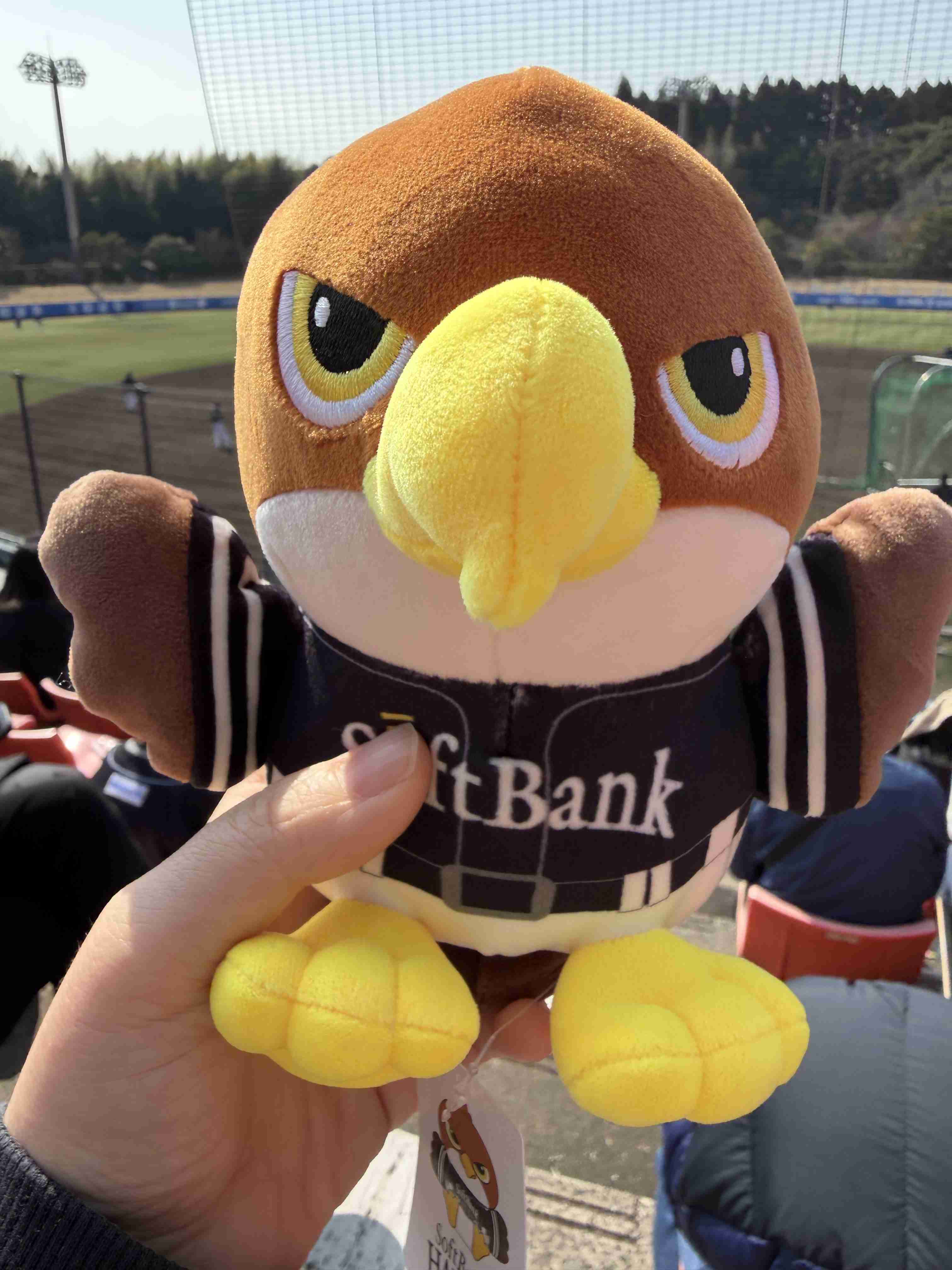 福岡ソフトバンクホークスファン集合！Part23