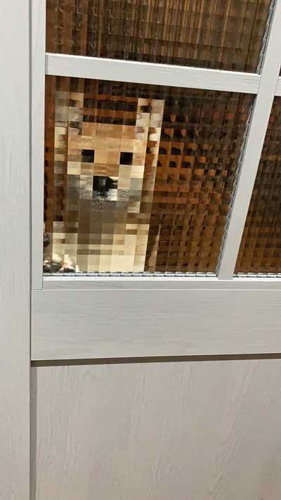 マインクラフト初心者