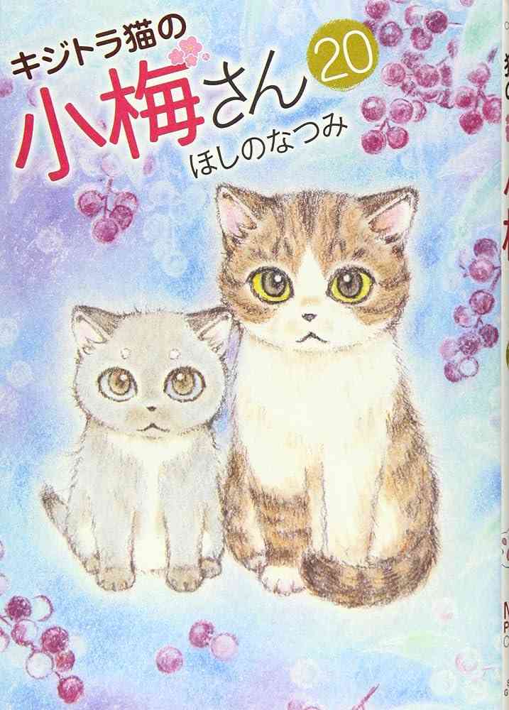不登校の子におすすめの漫画、アニメ