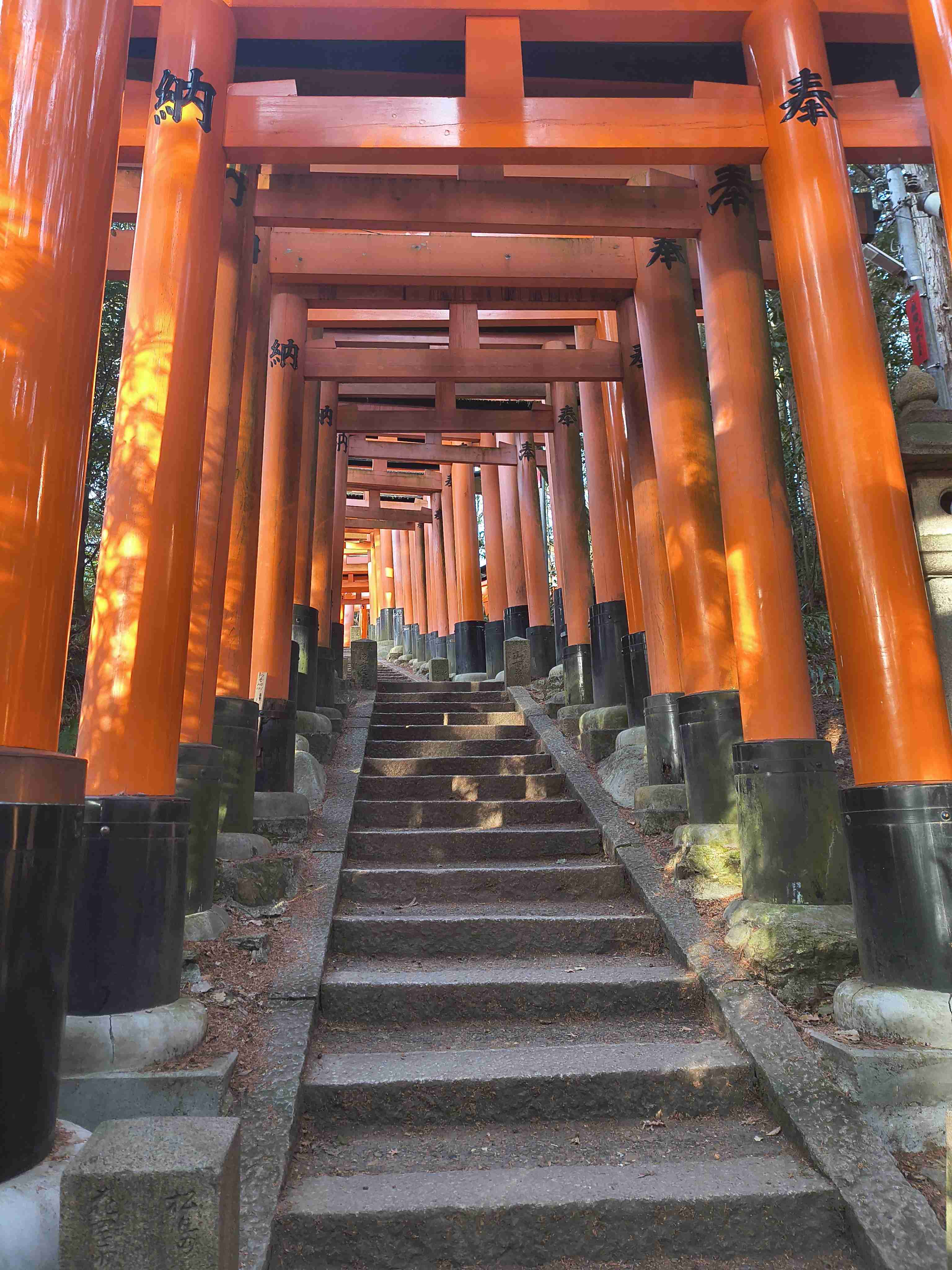 【心残り】また行きたい観光地【楽しかった】