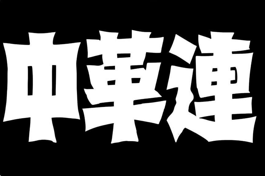 投票したい党や人がいるのに選挙区にいない！→ 妥協