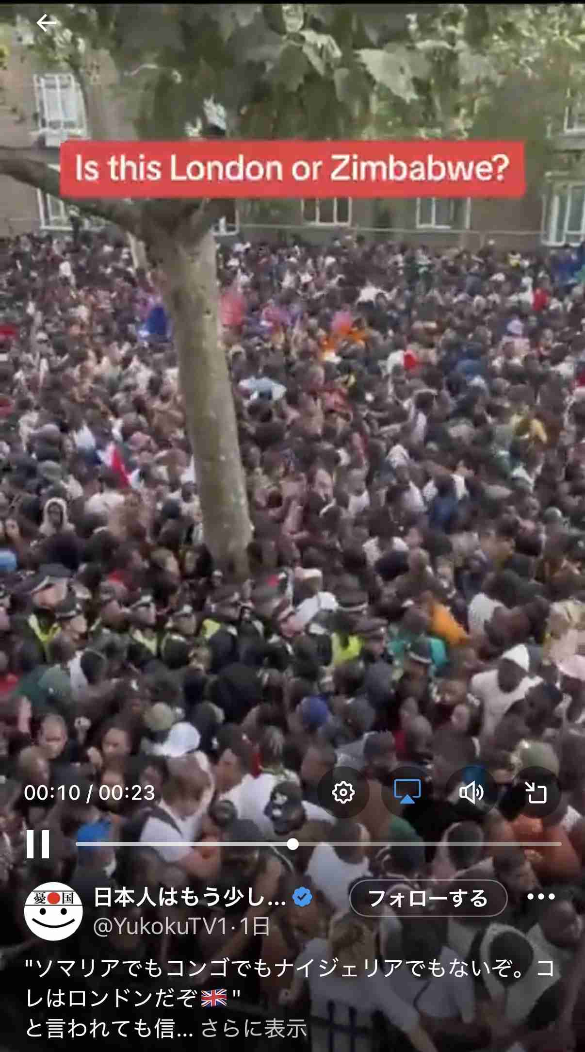 投票したい党や人がいるのに選挙区にいない！→ 妥協