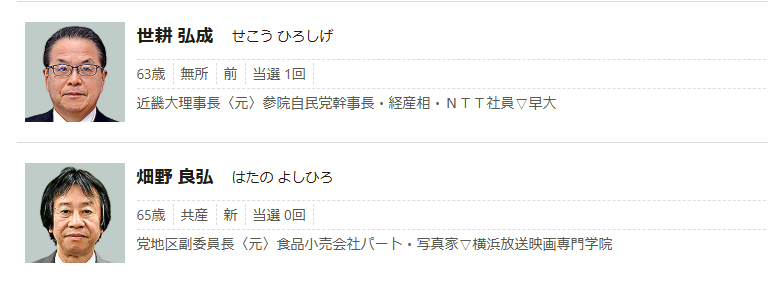 投票したい党や人がいるのに選挙区にいない！→ 妥協