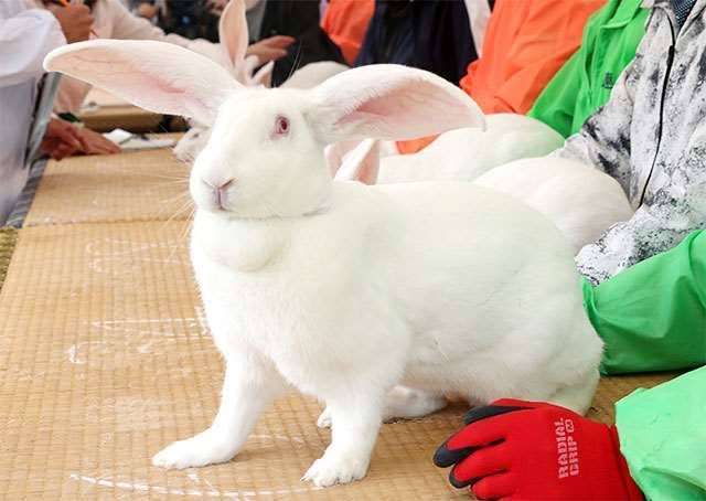 秋田県民で語ろう