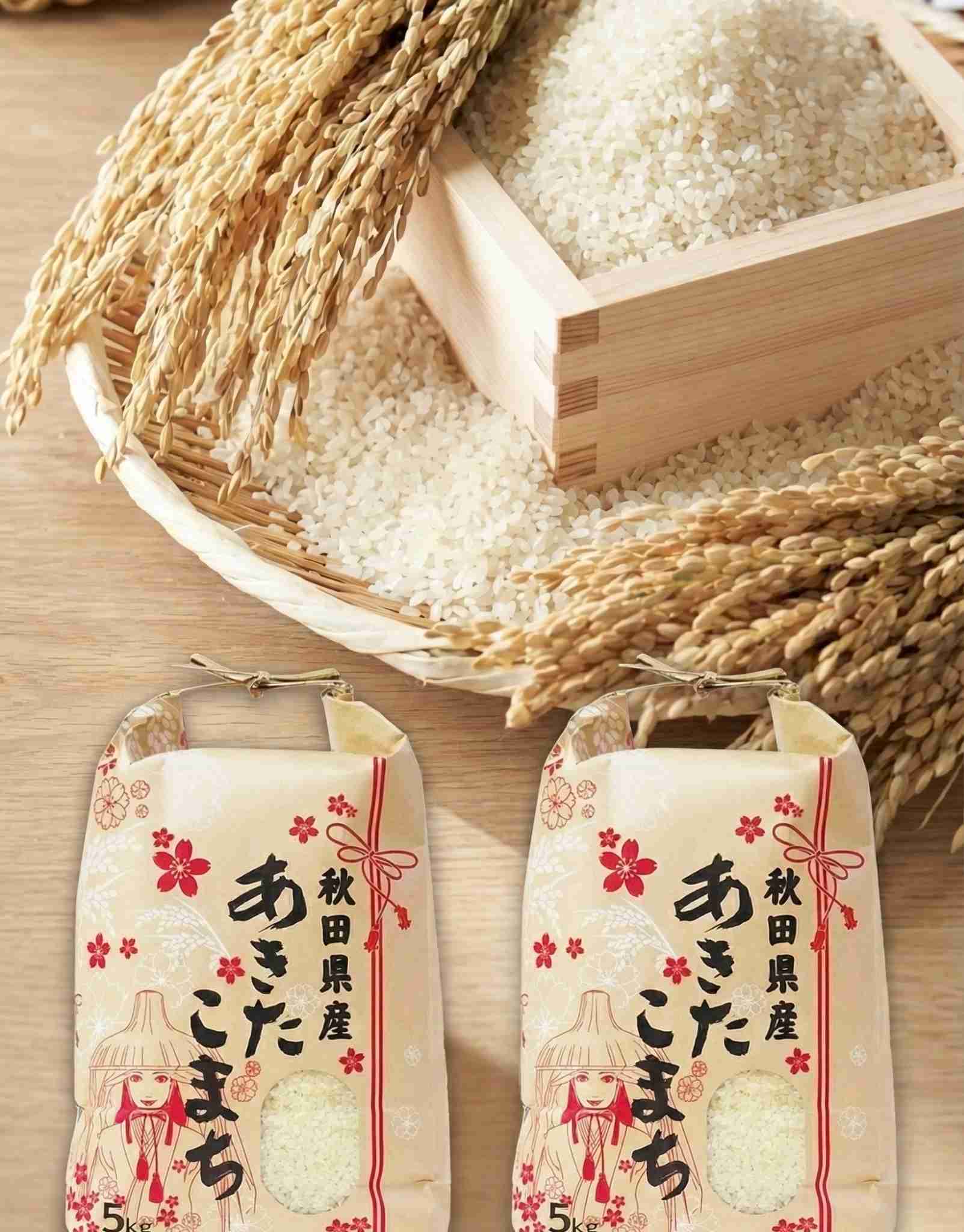 秋田県民で語ろう