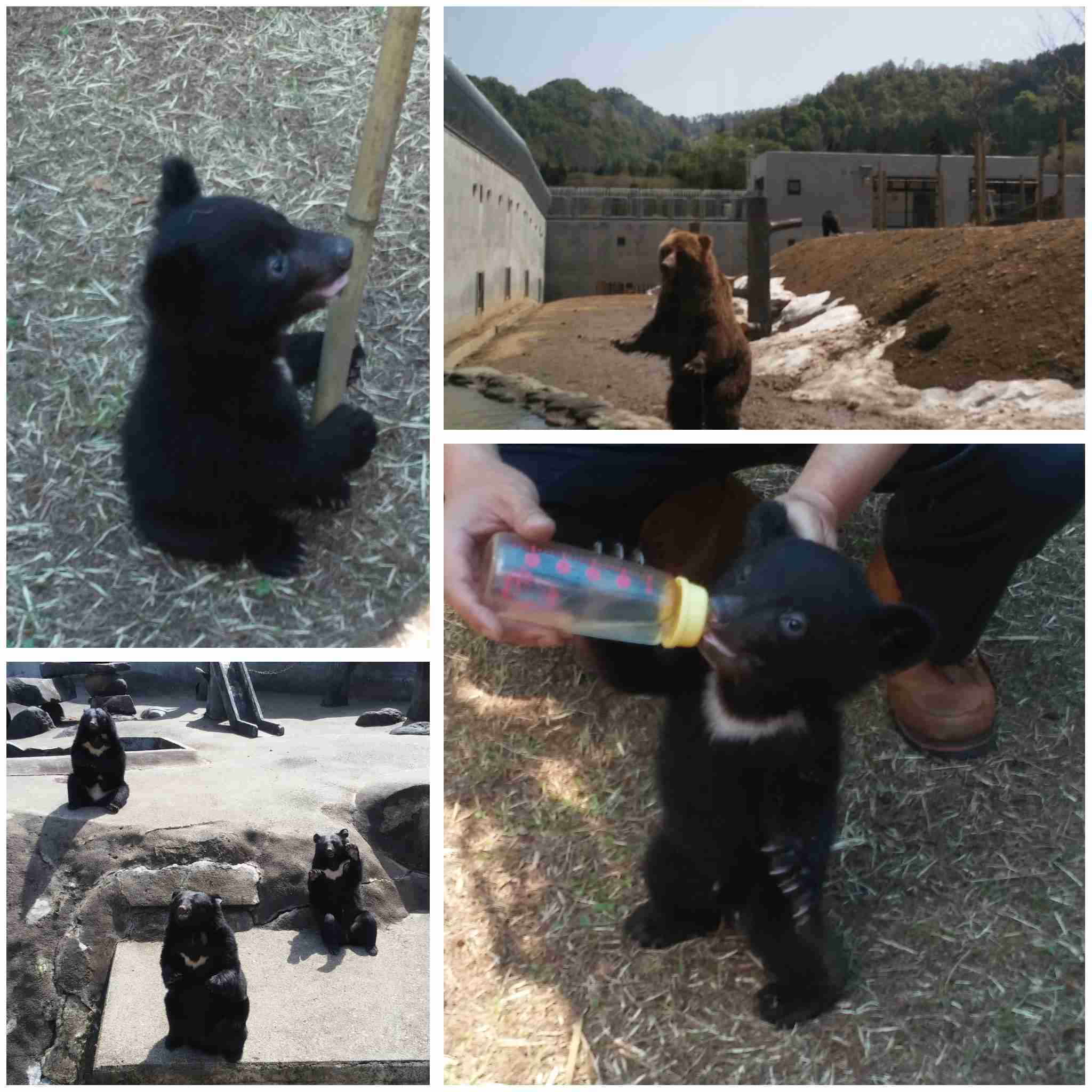 秋田県民で語ろう