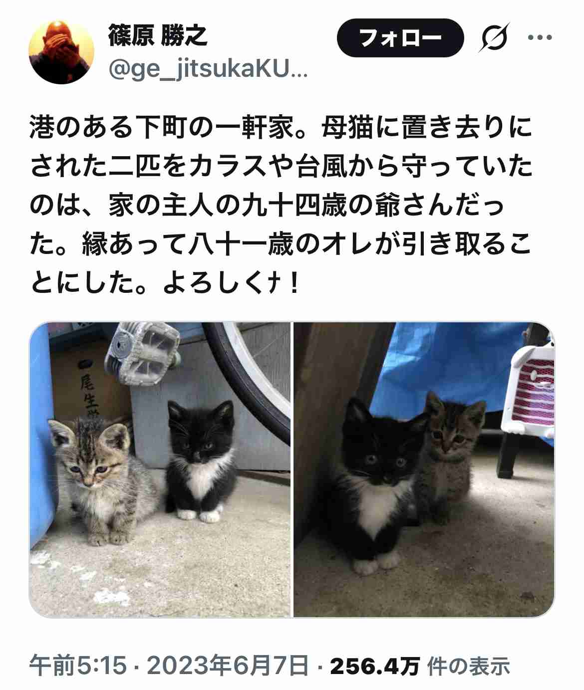 最近お見かけしなくなった芸能人・有名人