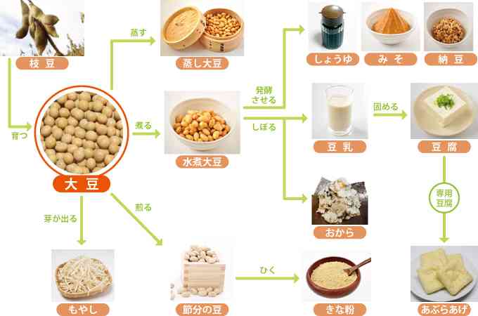 好きな大豆食品