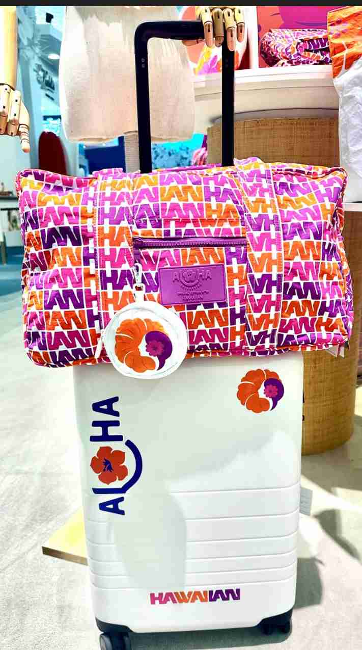 旅行の時のバッグどうしてる？