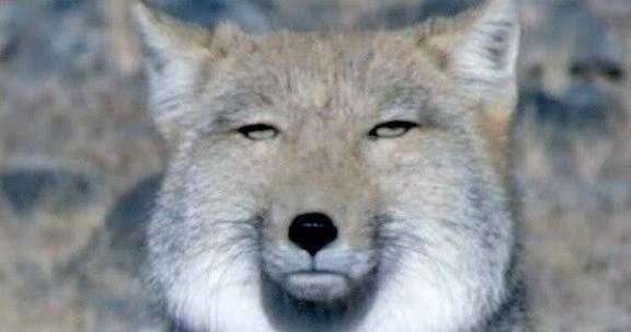 嫌悪の感情を無にする方法