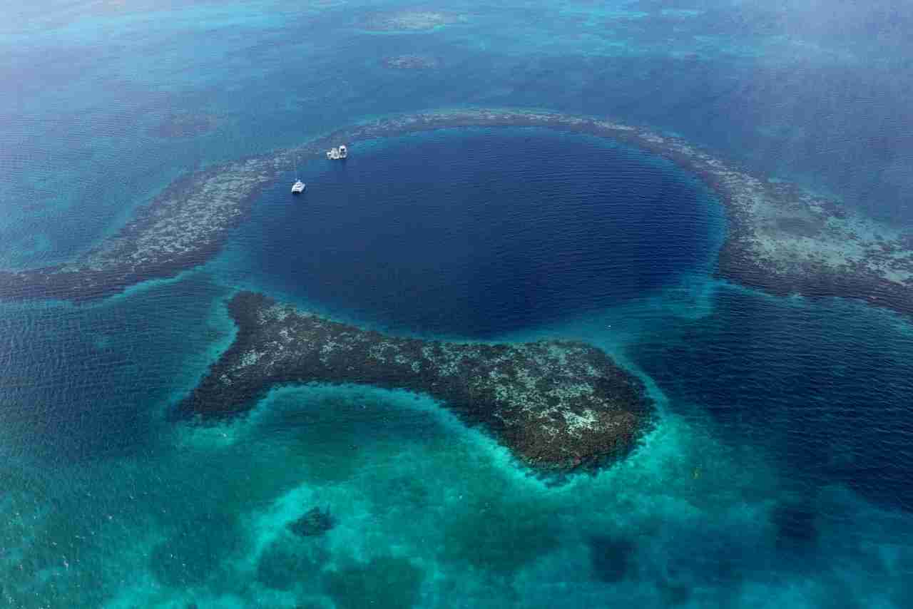 【閲覧注意】海洋恐怖症の人が、震え上がる写真を貼ろう
