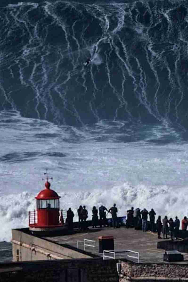 【閲覧注意】海洋恐怖症の人が、震え上がる写真を貼ろう