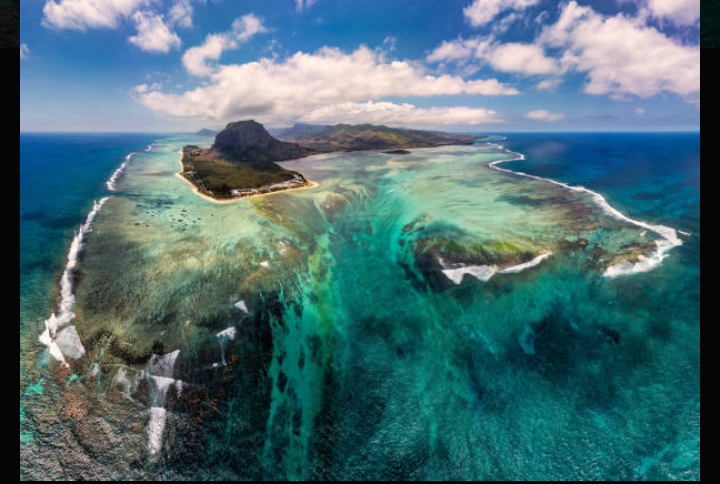 【閲覧注意】海洋恐怖症の人が、震え上がる写真を貼ろう