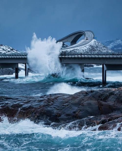【閲覧注意】海洋恐怖症の人が、震え上がる写真を貼ろう