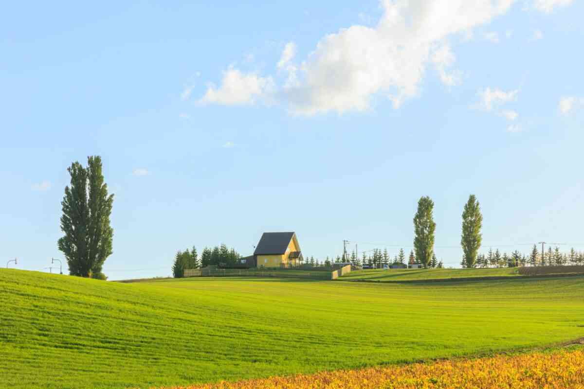 移住した方、良かったor後悔してるどっちですか？