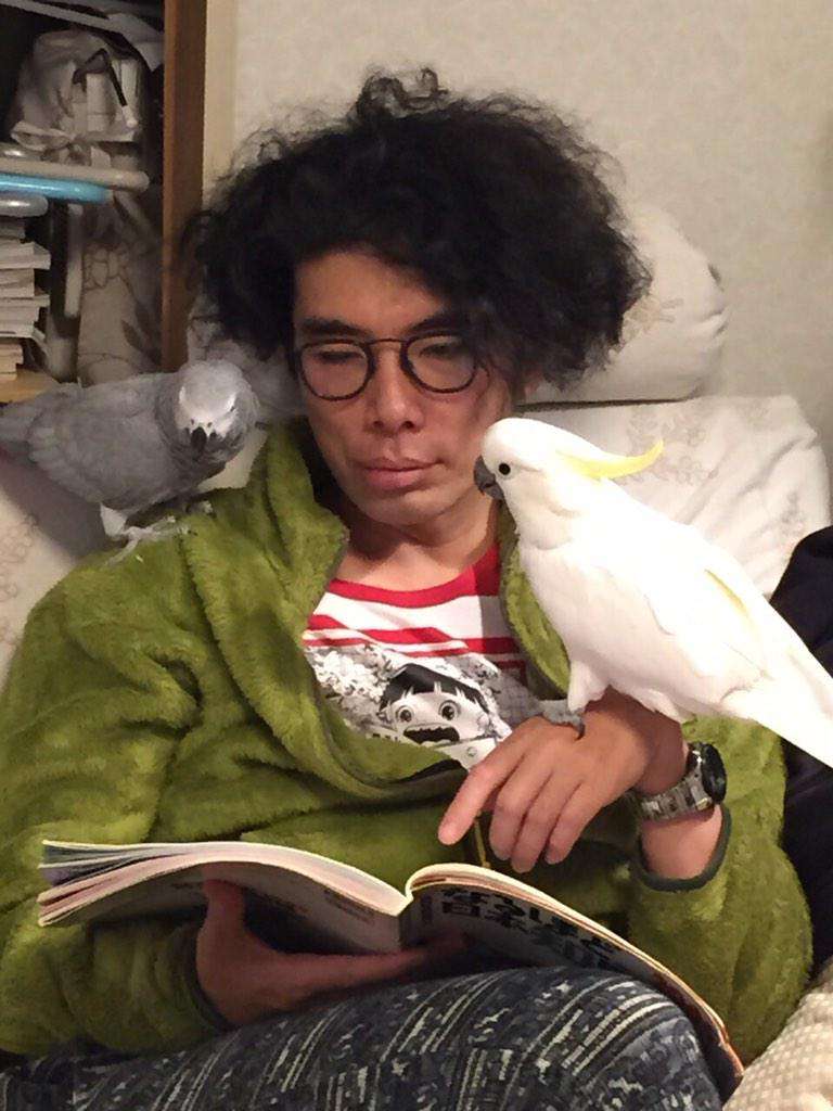 【オウム・インコ】鳥を飼っている人・鳥が好きな人【文鳥・梟】
