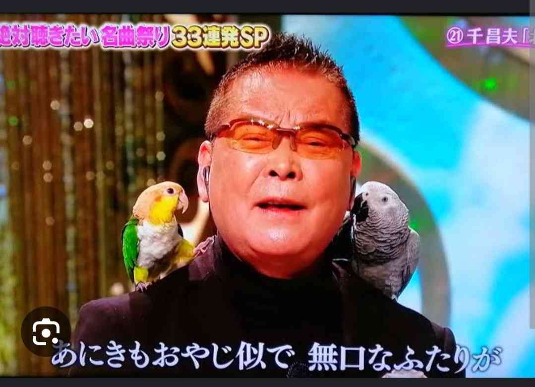 【オウム・インコ】鳥を飼っている人・鳥が好きな人【文鳥・梟】