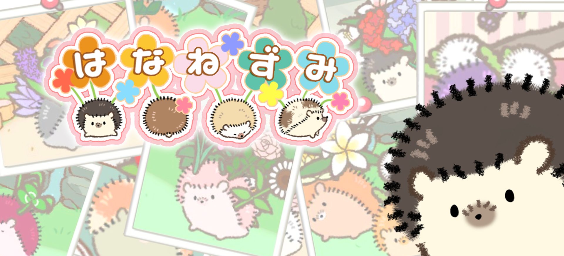 ハリネズミが好きな人