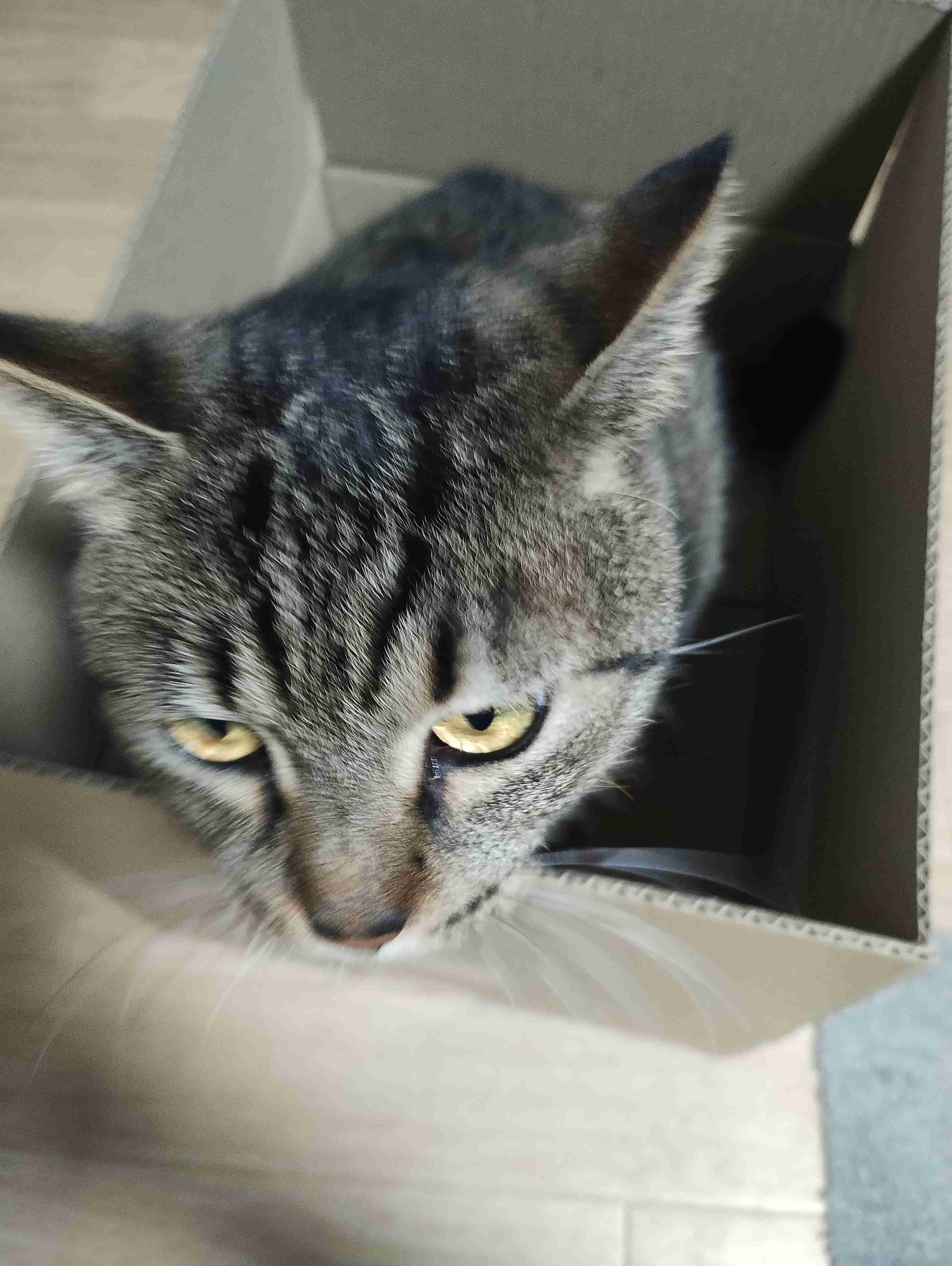 3連休だよ！雑談しようよ