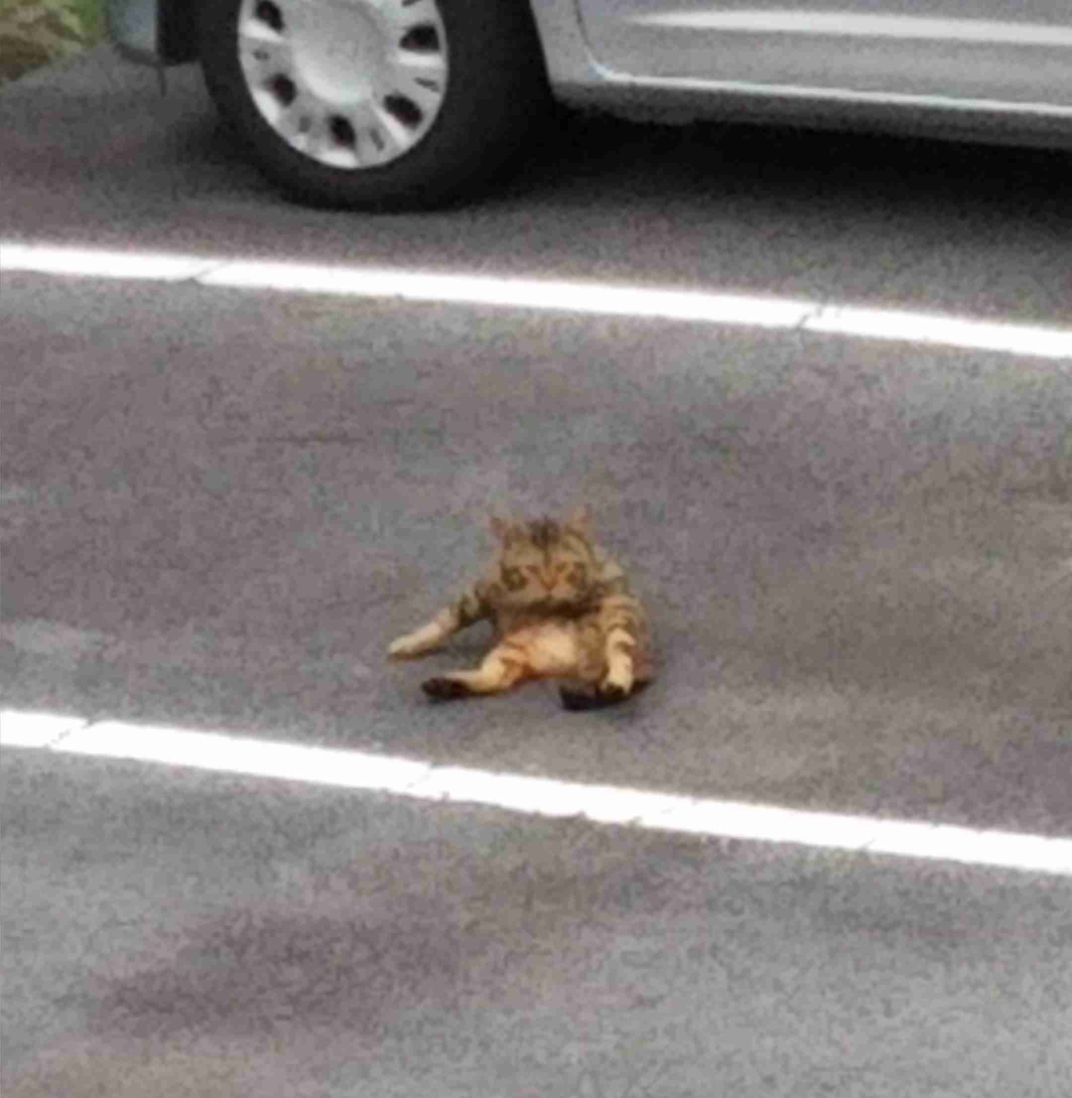 3連休だよ！雑談しようよ