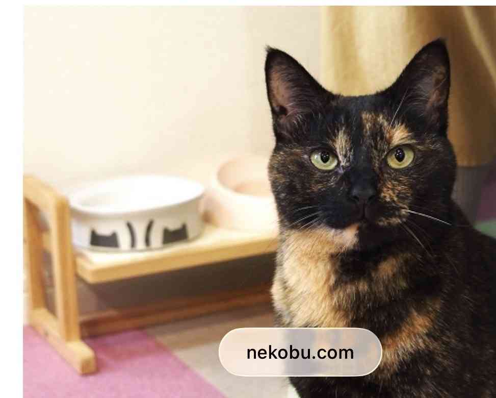 3連休だよ！雑談しようよ