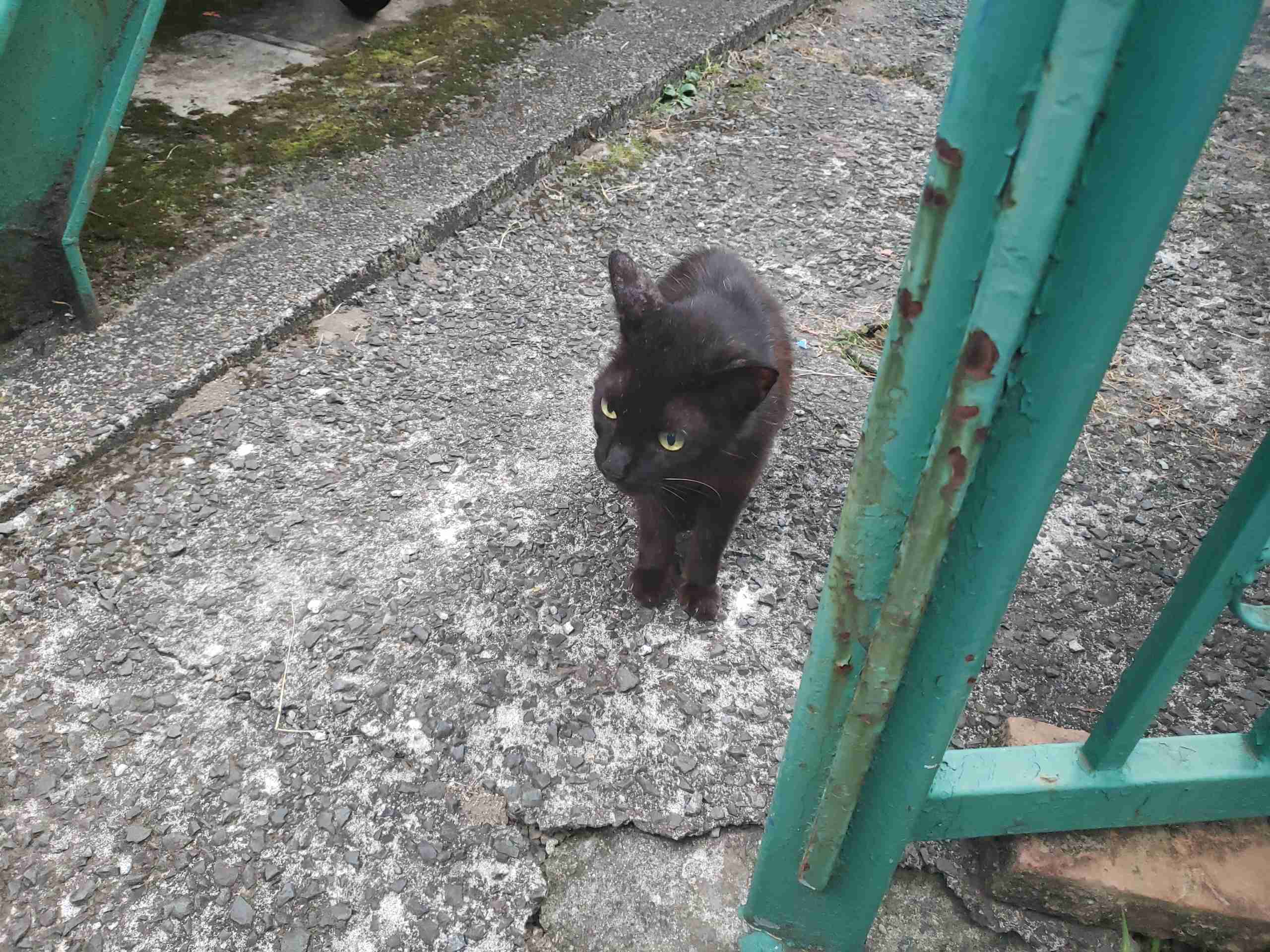 3連休だよ！雑談しようよ