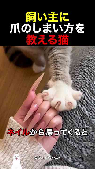 長い爪が怖い