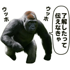 後輩の年齢マウント