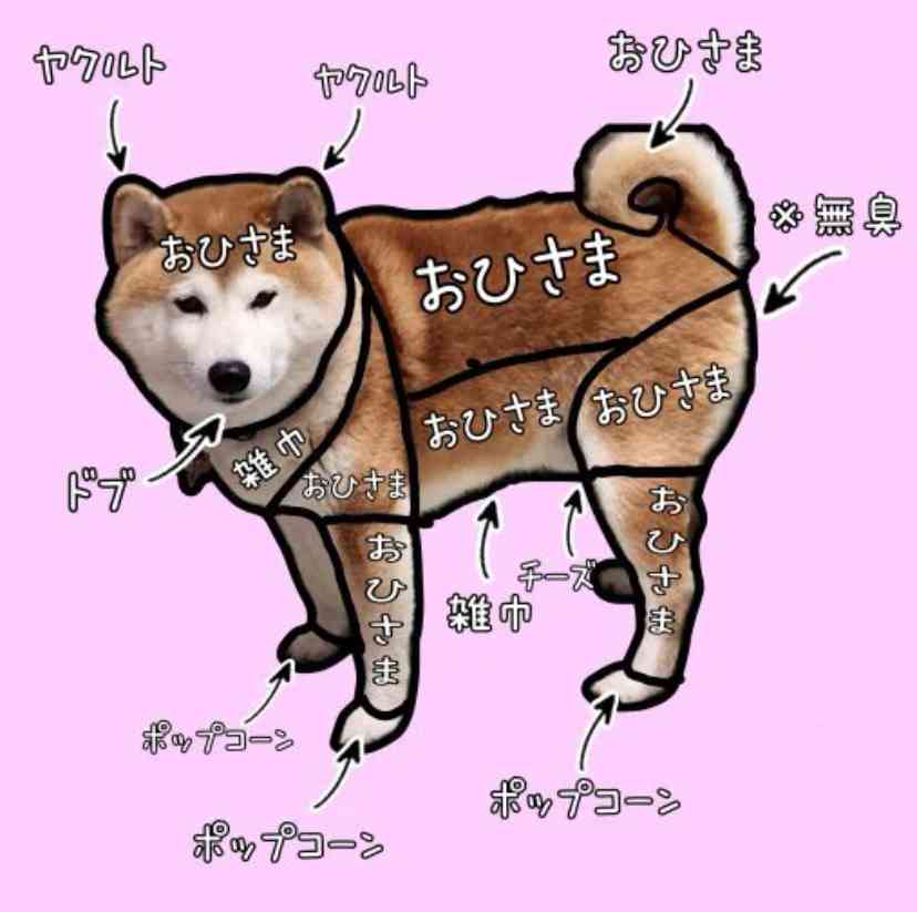 ペットを愛するがゆえの奇行や思考