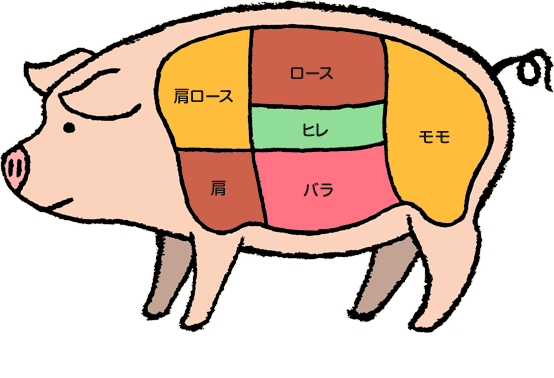 背中に肉が付き始めた