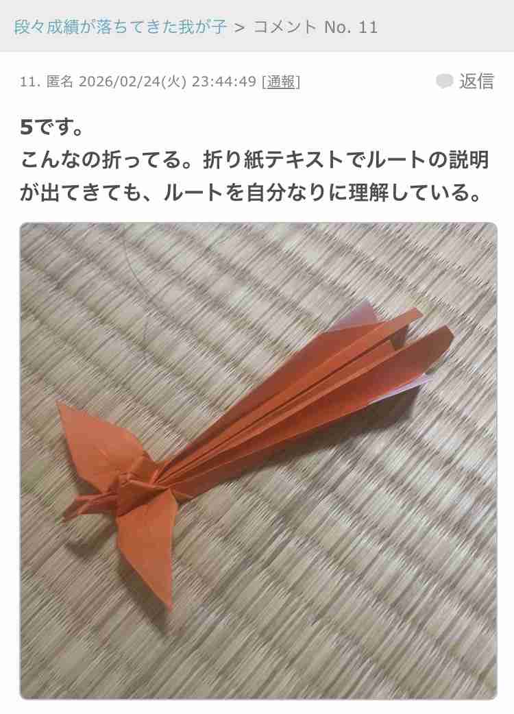 【相談】中学生以上の発達障害者の母親限定【雑談】Part4