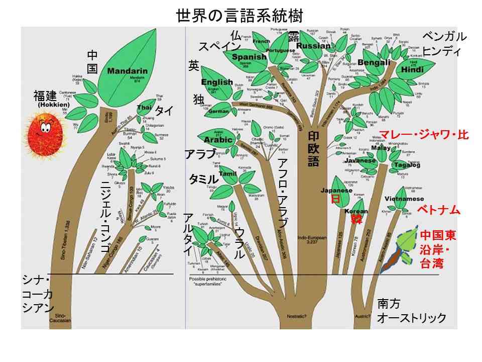 「日本にいれば不自由しない」パスポート保有率が“6人に1人”まで落ち込んだ日本の現実、英語力「世界92位」の衝撃