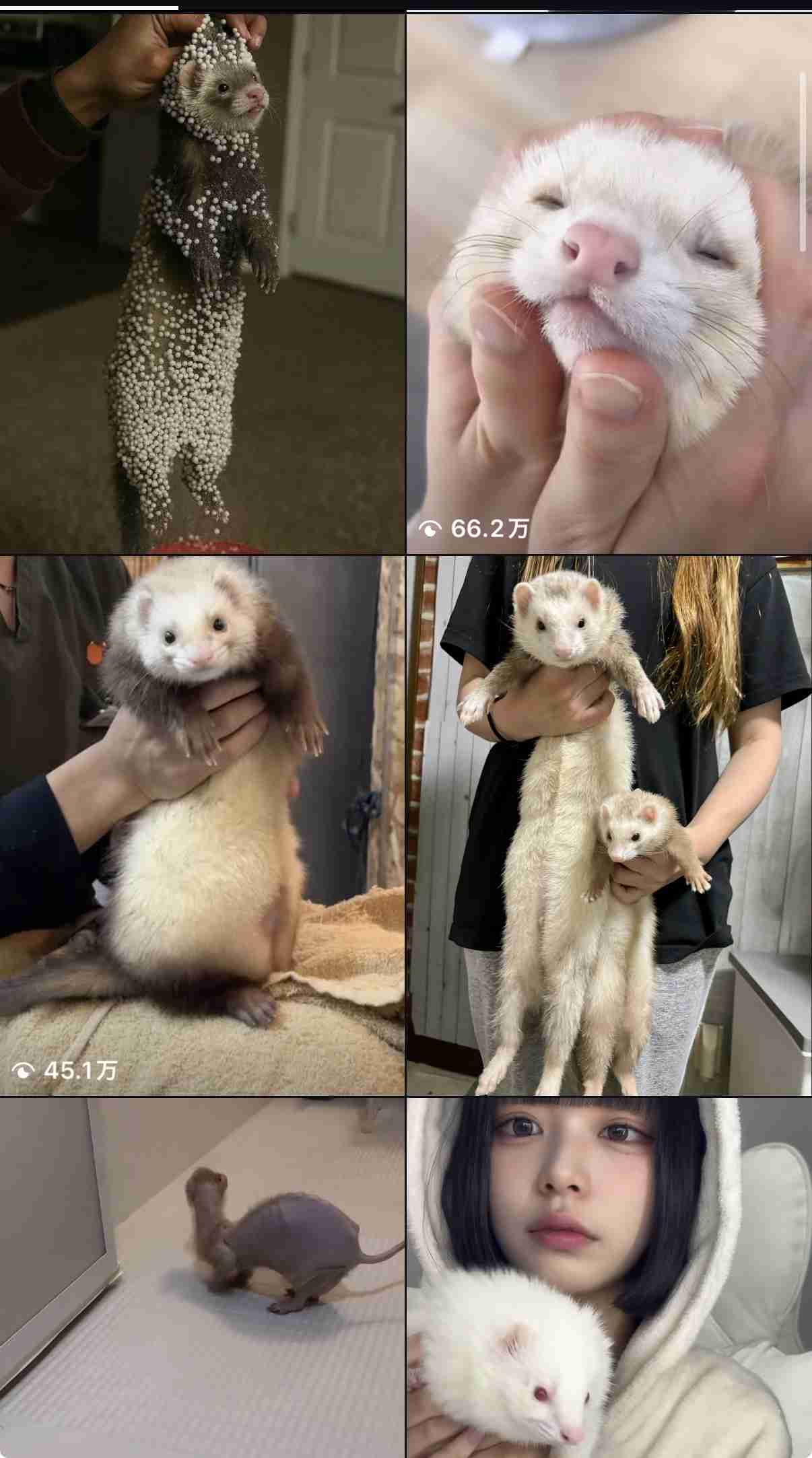 人やペットが亡くなった時に明るく振る舞ってしまう