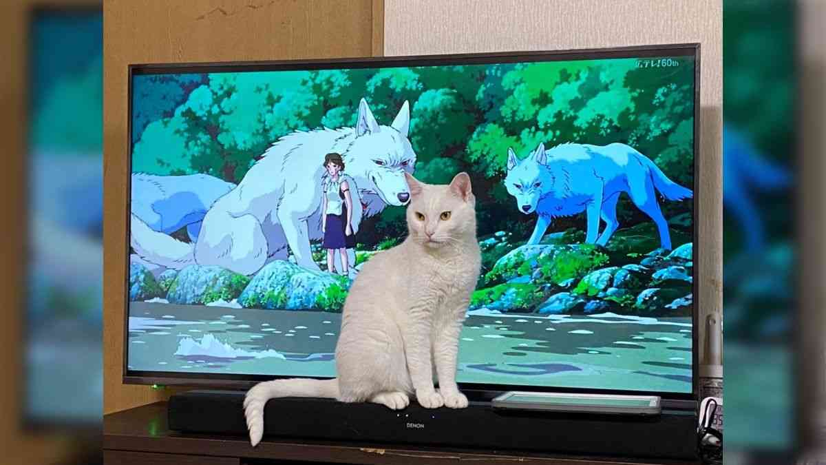 【ジブリ】映画「もののけ姫」で印象に残ってるシーン