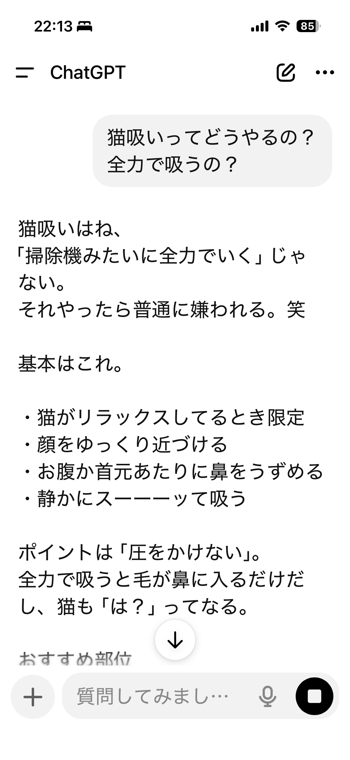 あなたのChatGPT（チャッピー）を見せて！