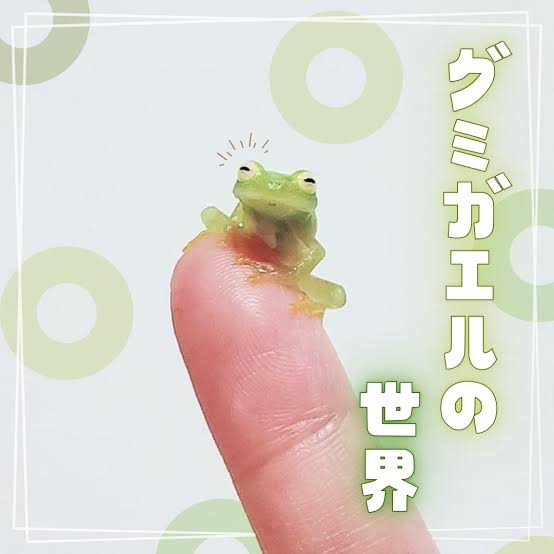 🐍爬虫類・両生類好きな人🐸※閲覧注意※