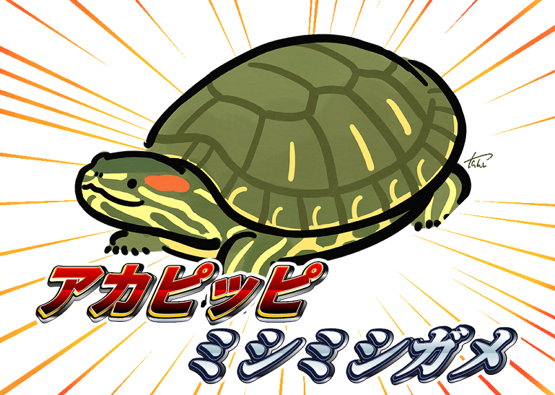 🐍爬虫類・両生類好きな人🐸※閲覧注意※