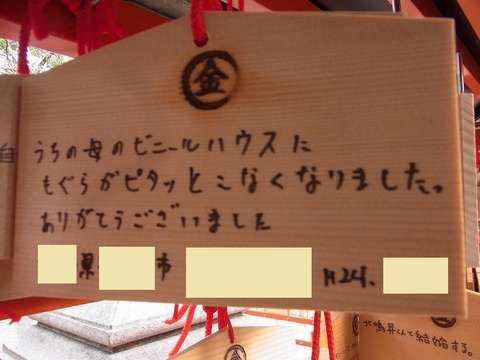【京都】安井金比羅宮に行ったことある人