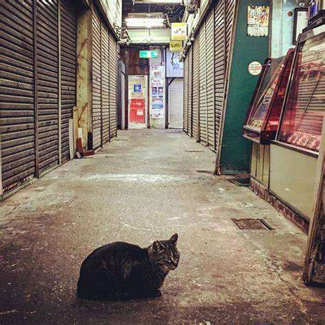 あ、うちの地元もうダメみたいって思ったこと