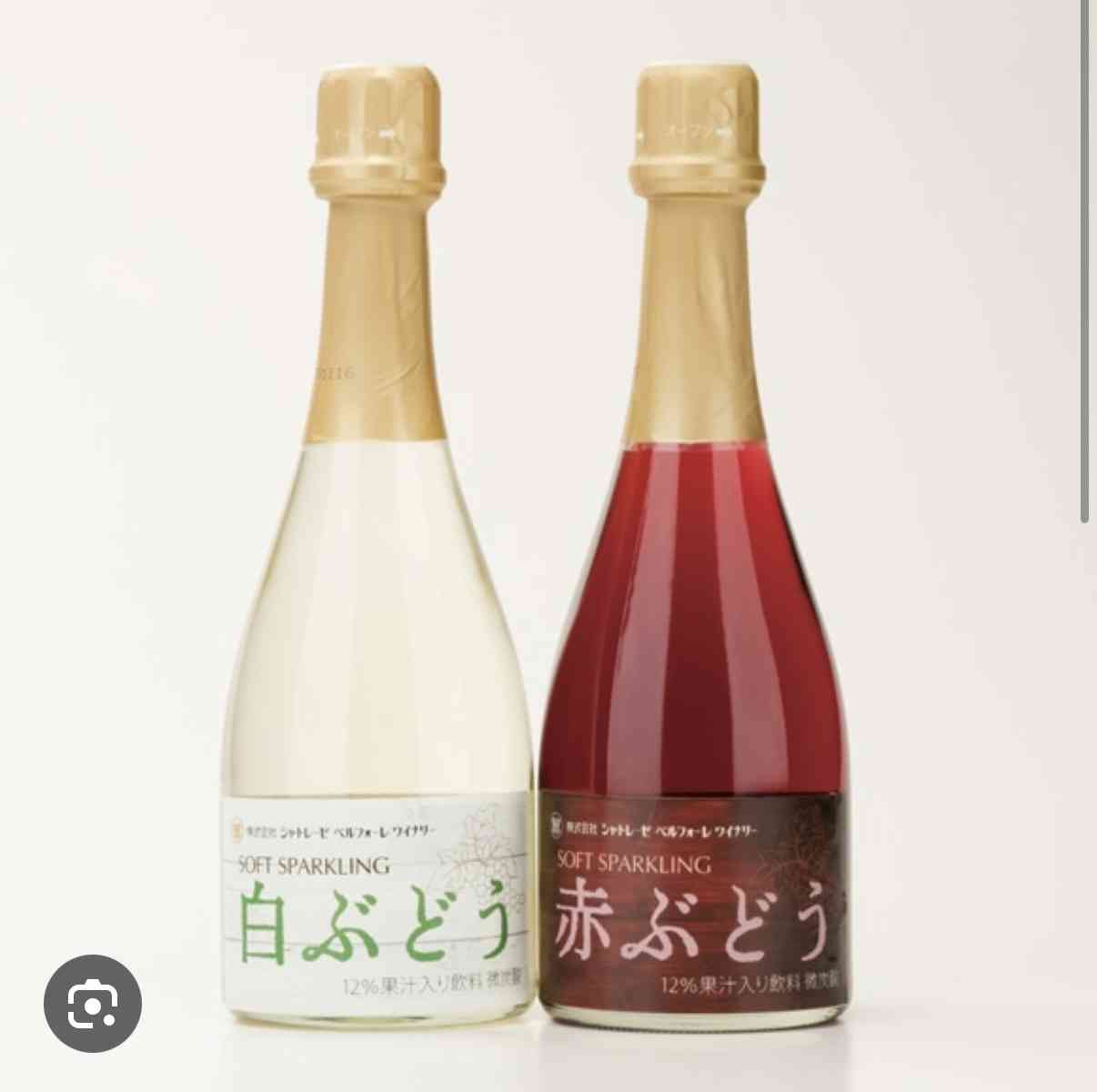 【お尋ね】シャトレーゼのおすすめ