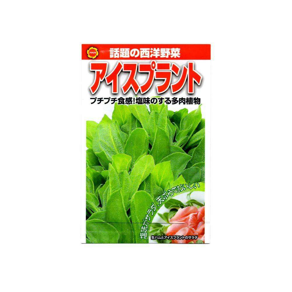 久しぶりに食べて感動したもの